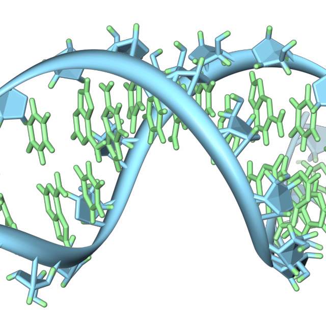 报道剪接体的三维结构并阐述rna剪接的分子结构基础